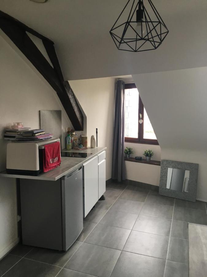 Plantagenet -Le Vieux Mans - Hyper Centre Apartman Le Mans Kültér fotó